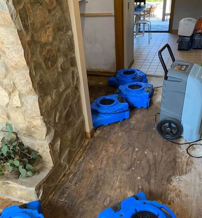 4Sure Mold Removal photo