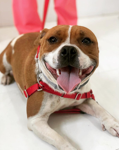 Clínica Veterinaria Marvet