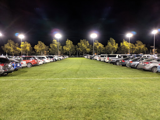West Stadium Fields - Visual
