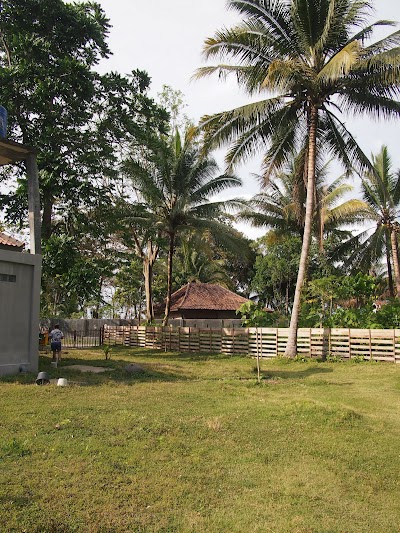Photos of Sumatran Tiger Resort