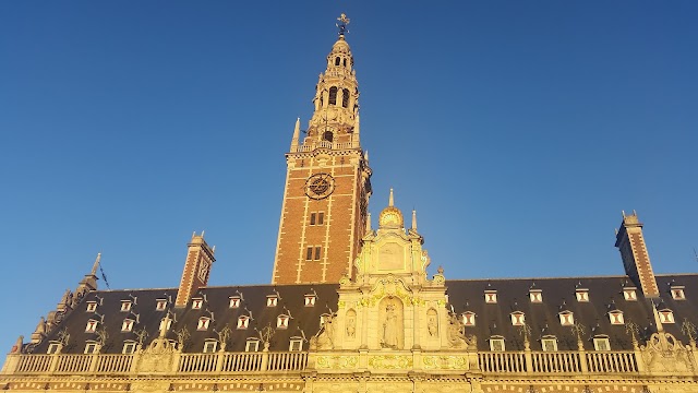 Place around image
