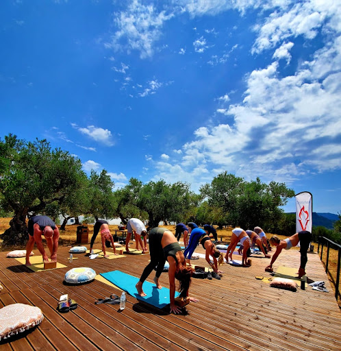 Thavma Yoga Lakewood Ranch - Thumbnail