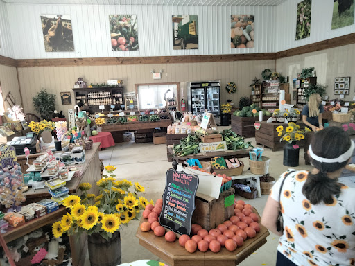 The New Jersey Sunflower Trail - Thumbnail