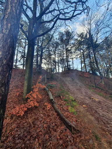 De Schoorlse Nok op 48 meter hoog - Thumbnail