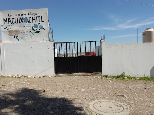 Primaria Federal Bilingüe Macuixochitl