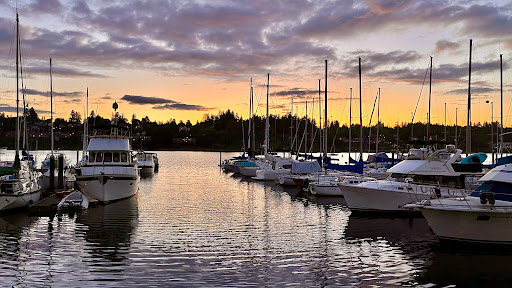 Budd Bay Cafe Gallery - United States