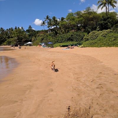 Po‘olenalena Beach Park