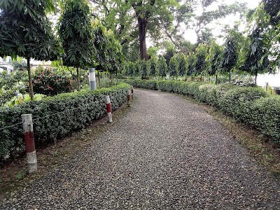 Photos of Joynul Abedin Arts Museum