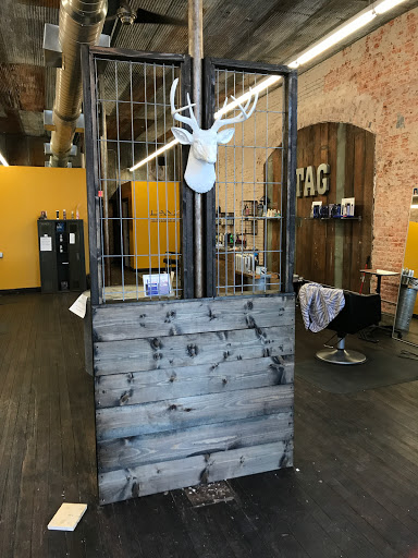 Stag - Visual