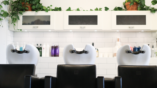Emerald Collective Salon