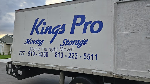 Kings Pro Movers - Visual