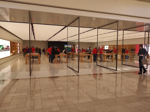 Apple Chestnut Hill