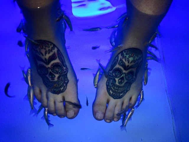 Moment Fish Spa