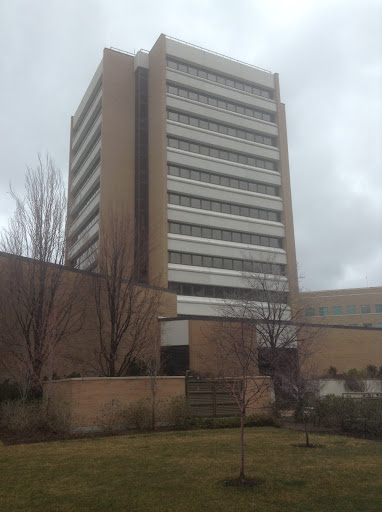 College of Nursing