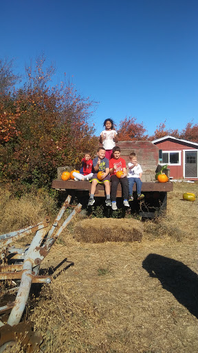 Jensen Farms Gallery - United States