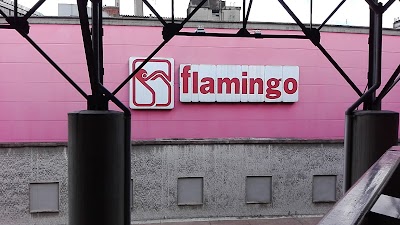 Photos of flamingo