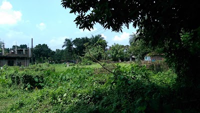 Photos of Arappur Chadpara Gorostan