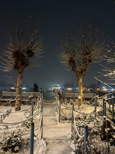 Gallery image 28