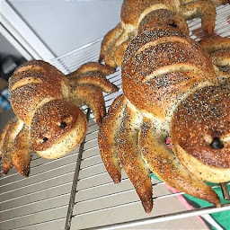 Photo n°13 de Boulangerie Lise Et Jerome • Artisan Boulanger • Traiteur • Pâtissier • Chocolatier • Glacier à Noailles (Boulangerie)