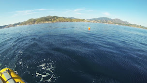 Photo n°10 de Centre d’Activité Plongée Port-Vendres à Port-Vendres (Moniteur de plongée)