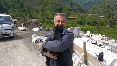 Photos of &Ccedil;arşıbaşı Stadı