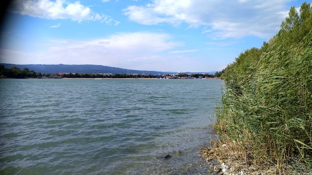 Zlaté Piesky