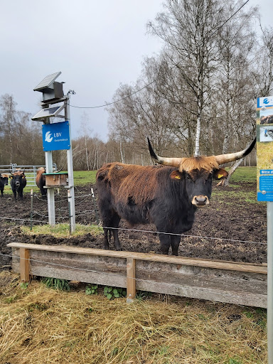 Fußbergmoos - Visual