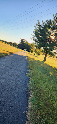 Miller Park Walking Track - Thumbnail