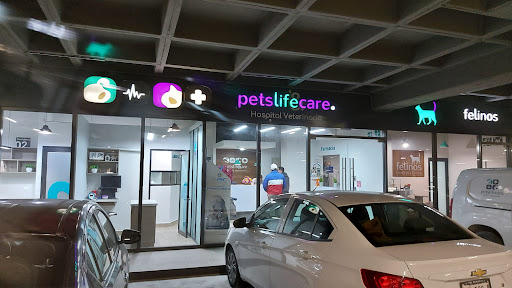Veterinaria Pets Life & Care Suc. Cumbres Hospital Veterinario - Thumbnail