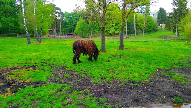 Wildpark Lüneburger Heide