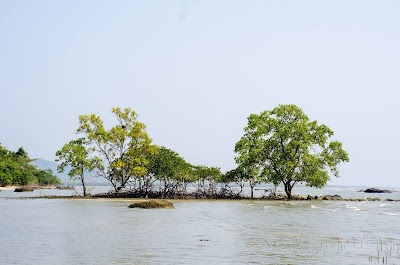 Photos of Koh Thmei Resort