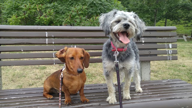 Parc de la Plage-Jacques-Cartier