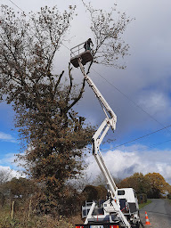 Photo n°2 de Rochard service d élagage à Courlay (Service d'élagage)