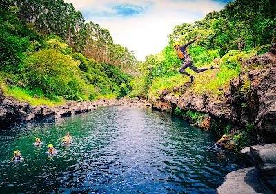 The Umauma Falls Experience