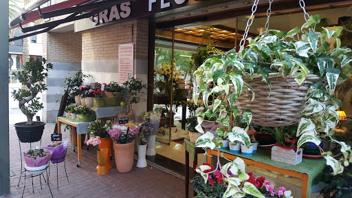 Floristeria Gras - Thumbnail
