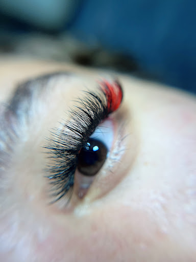 Mylashz - Visual
