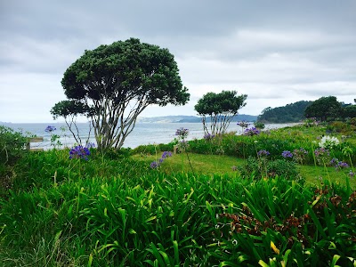 Photos of Whangapoua Beach Store