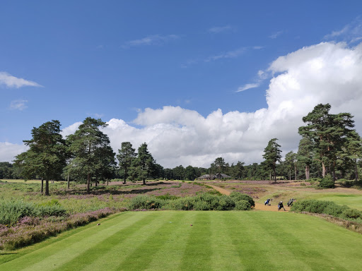 Hankley Common Golf Club Gallery - United Kingdom