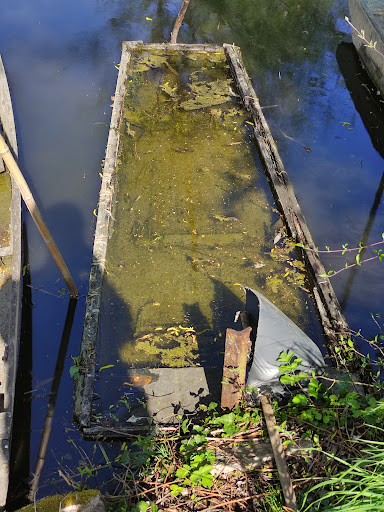 Marais des copains - Thumbnail