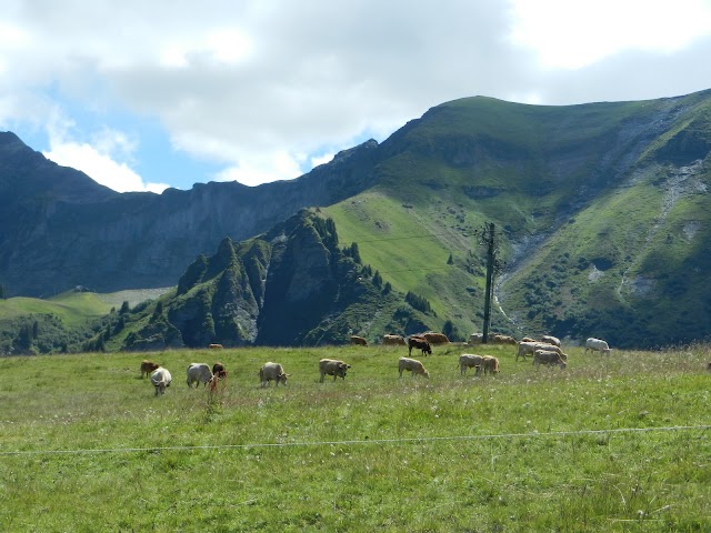 Alpage de Pré Rosset