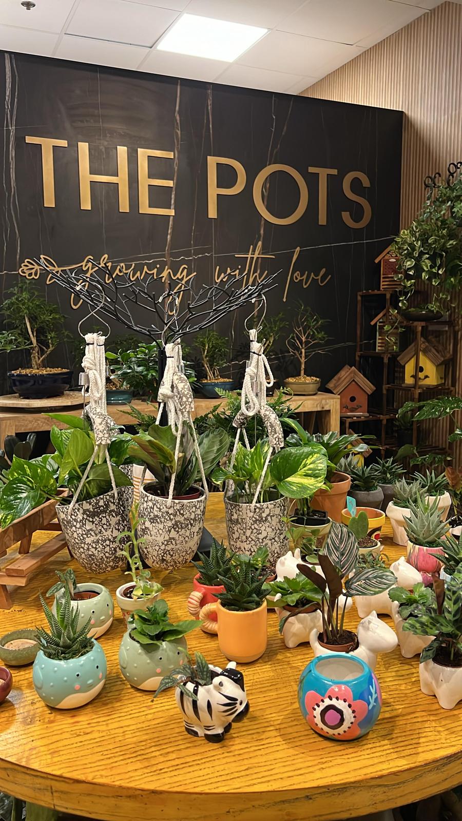 The Pots