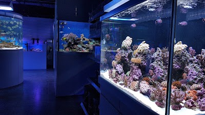 Photos of Aquamarine Trading Company
