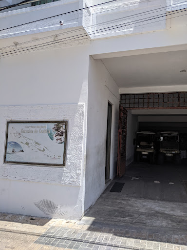 Castilla Golf Cart Rental