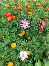 Photo n°15 de A La Ferme Du Champelet à Les Contamines-Montjoie (Chambre d'hôtes)
