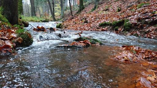 Lutherbrunnen - Thumbnail
