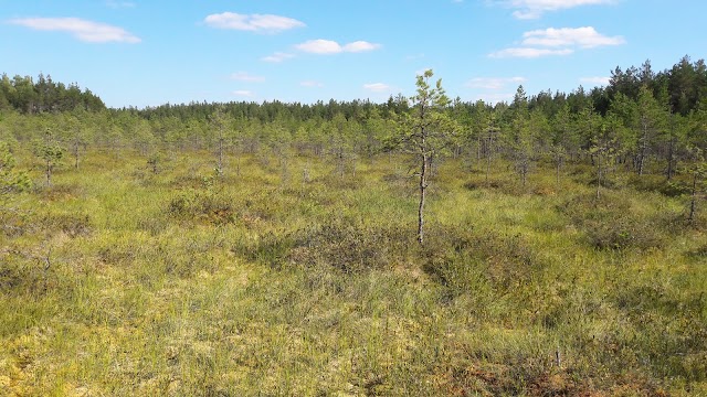 Teirumnīku purva taka