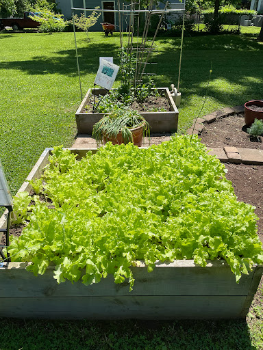 Midway Community Garden - Thumbnail