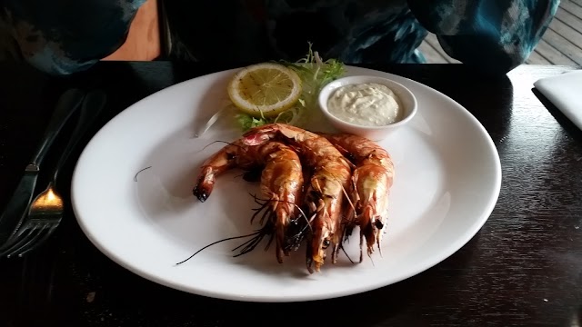 Gauchos - Aan de Maas