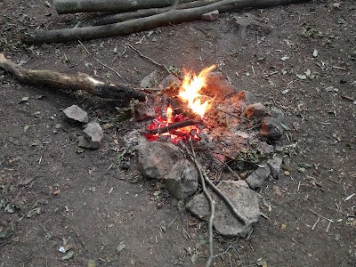 Photos of Bivouac de la Taille-des-Sarts (Forges)