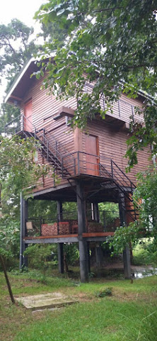 Wilpattu Tree House Hotel by null